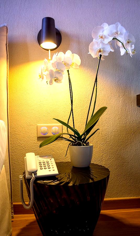 Allegory Boutique Hotel